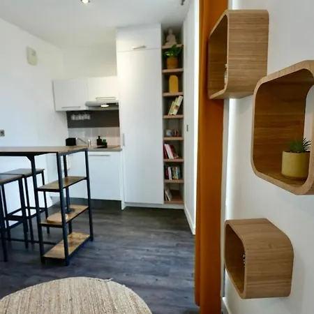 Atelier Cosy Felix A 10 Minutes De La Gare 里昂